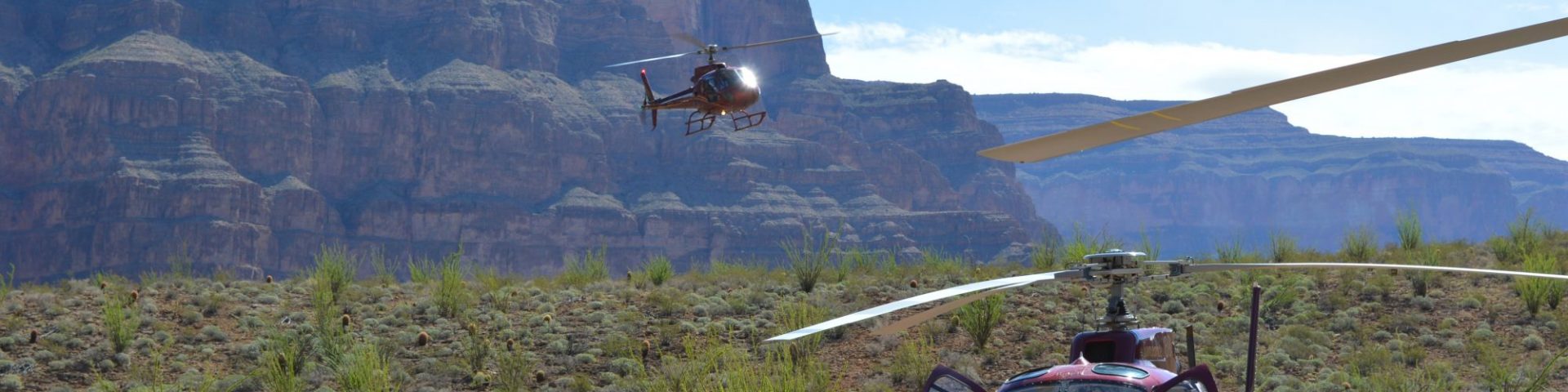 Helicopter tour of the Grand Canyon