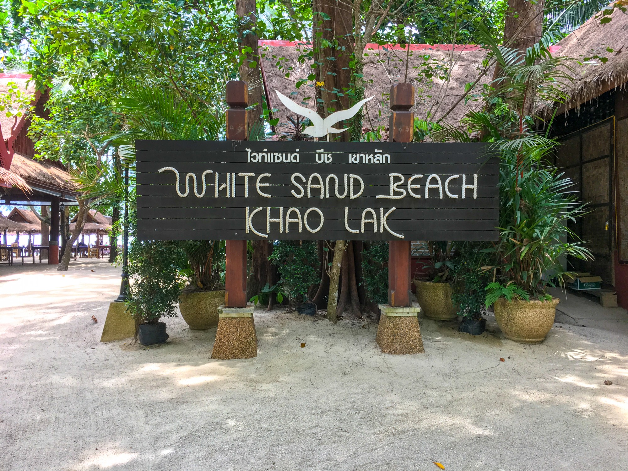 White Sand Beach (Ao Thong beach) in Khao Lak