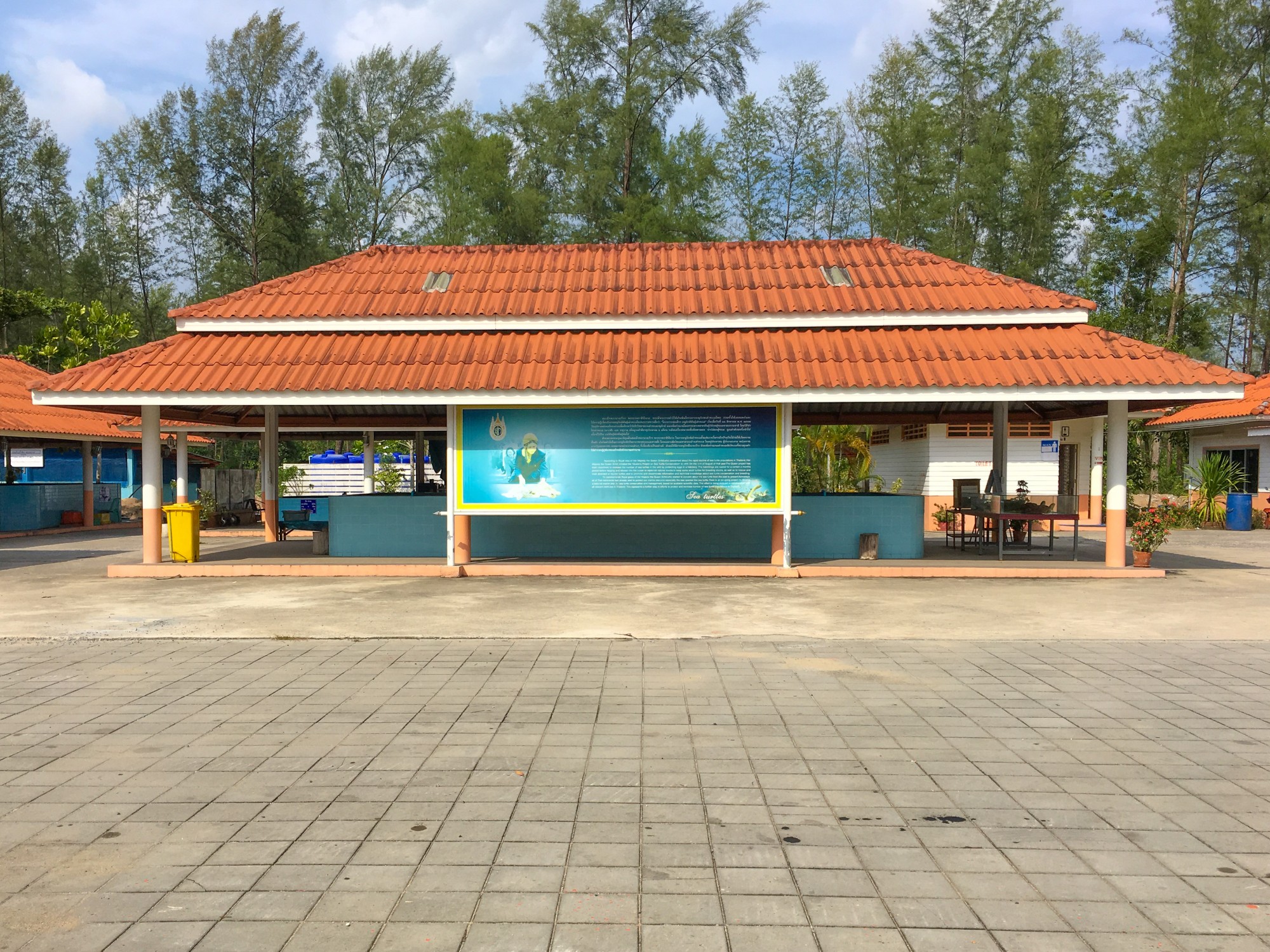 Sea Turtle Sanctuary, Khao Lak