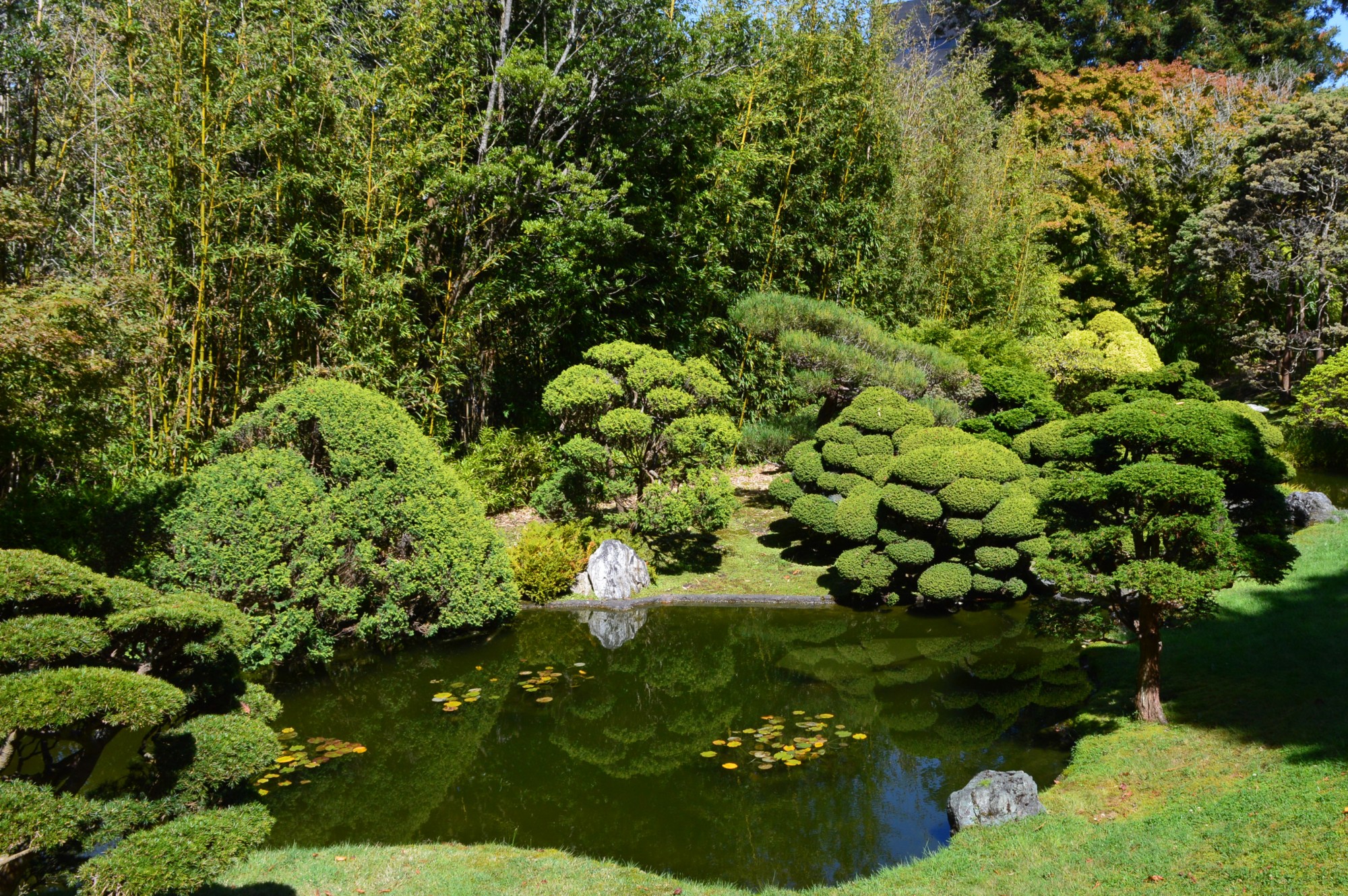 Japanese Garden in the Golden Gate Park, San Francisco