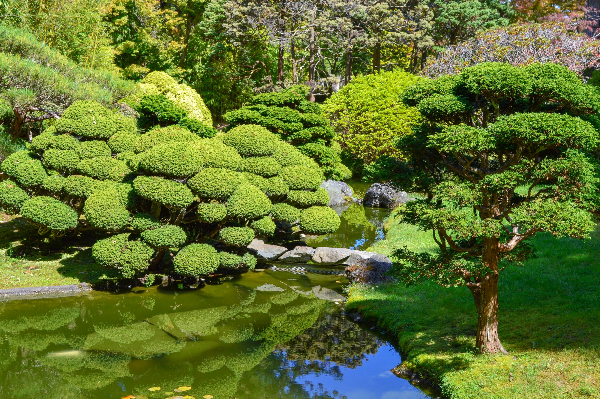Japanese Garden in the Golden Gate Park, San Francisco