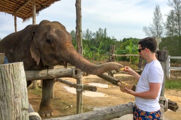 The Seaside Retreat Elephant Feeding, Khao Lak, Thailand
