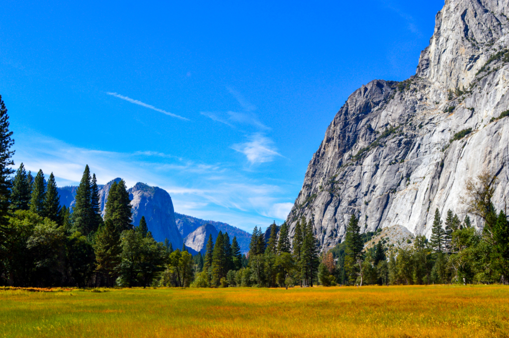 Yosemite Meadow