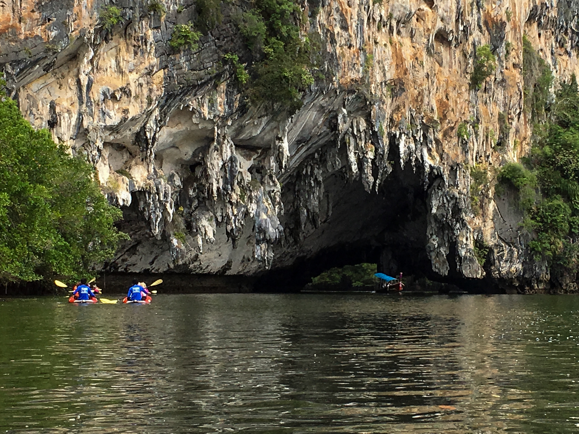 Mangrove Cave, Phang Nga Bay